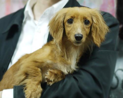 我哭了，好幸福的眼淚～送養南裳