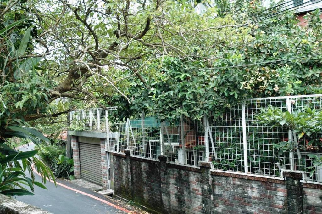 深坑花園，貓狗的家，我和媽媽的家！