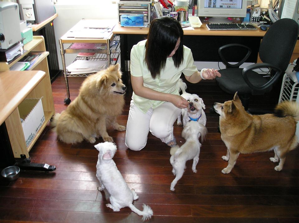 為「動物園的生死告白」一書寫作的推薦文