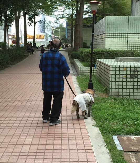 那一夜，我們一起去散步