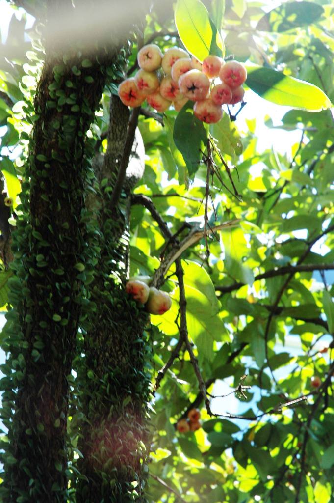 高大明亮的，那座幸福紀念碑