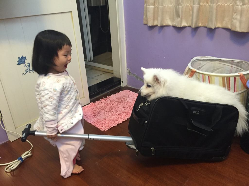 幸福晚年，我視之「喜喪」