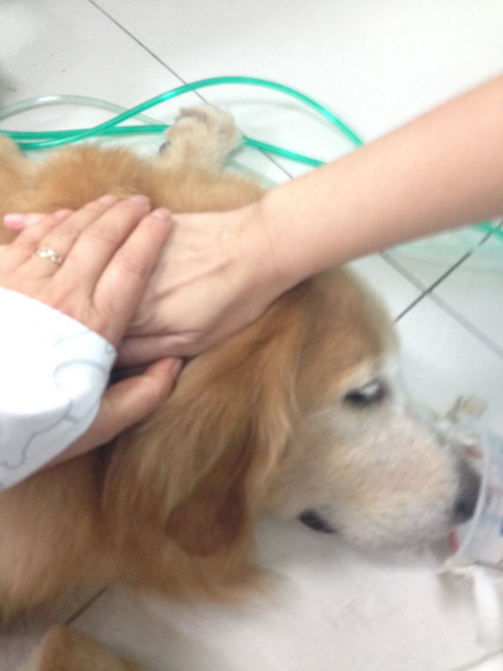 生命或長或短，重要的是溫度和厚度