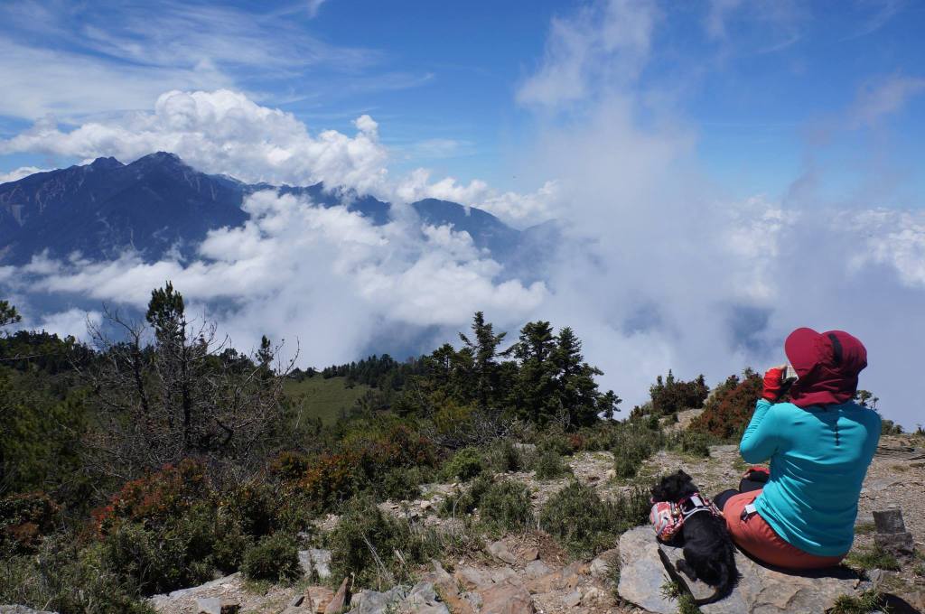 最美好的送養故事～跳跳