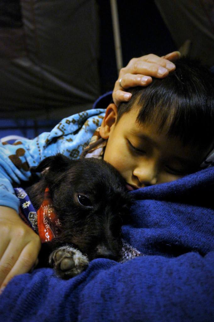 最美好的送養故事～跳跳