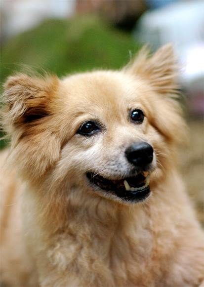 哈哈，我的天使、我的勇士