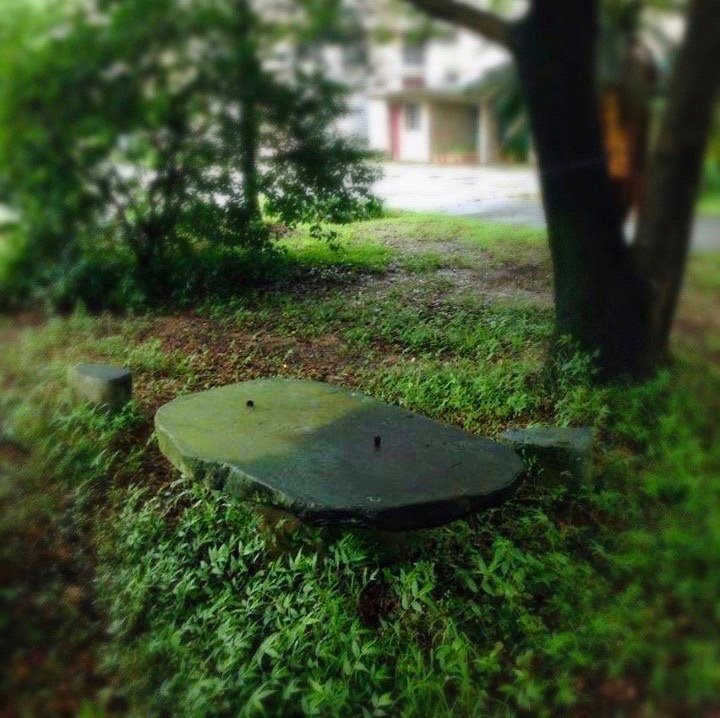 我思我詩3～太極兩儀