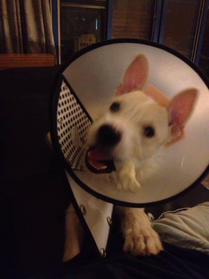 我們都很有耐心跟牠耗！