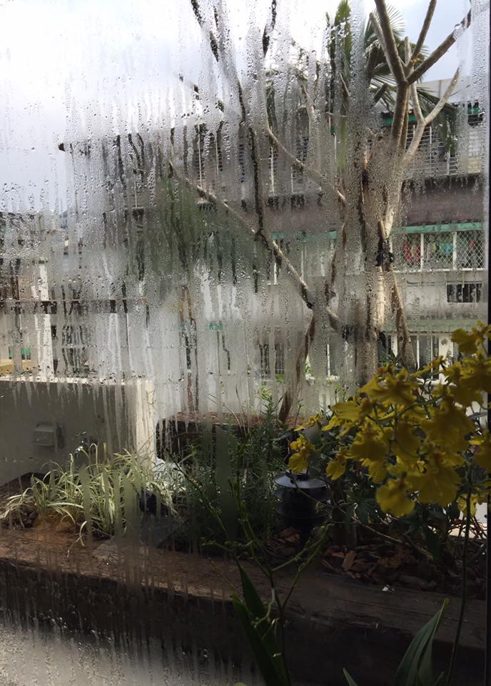 我思我詩4～牽腸掛肚