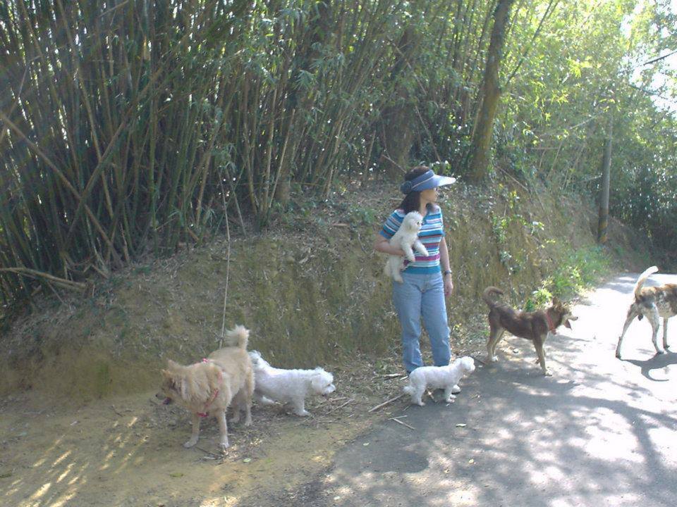 哈哈、東東、叮叮、吉吉、扁扁、娃娃