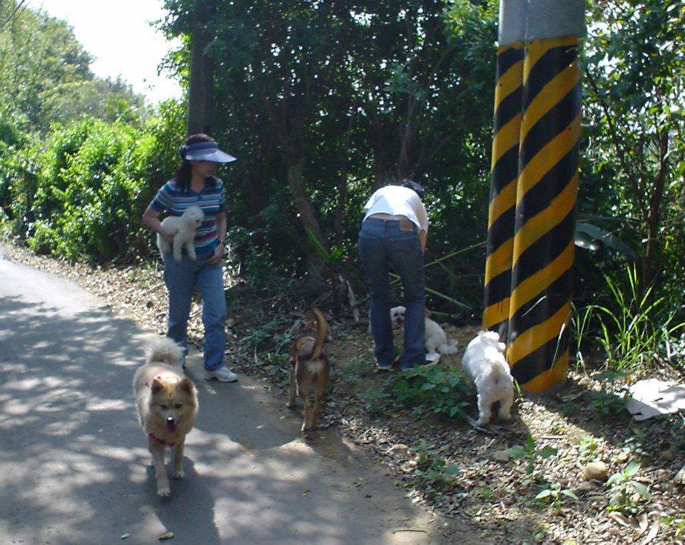 哈哈、東東、叮叮、吉吉、扁扁、娃娃