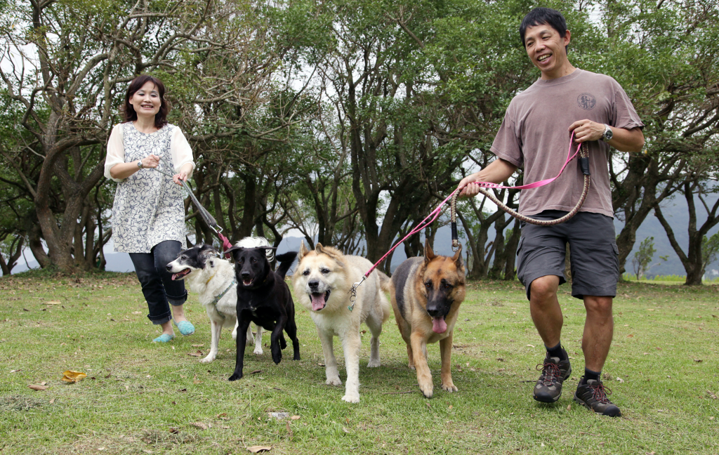 18年送養環島回顧2～我最親愛的安安家