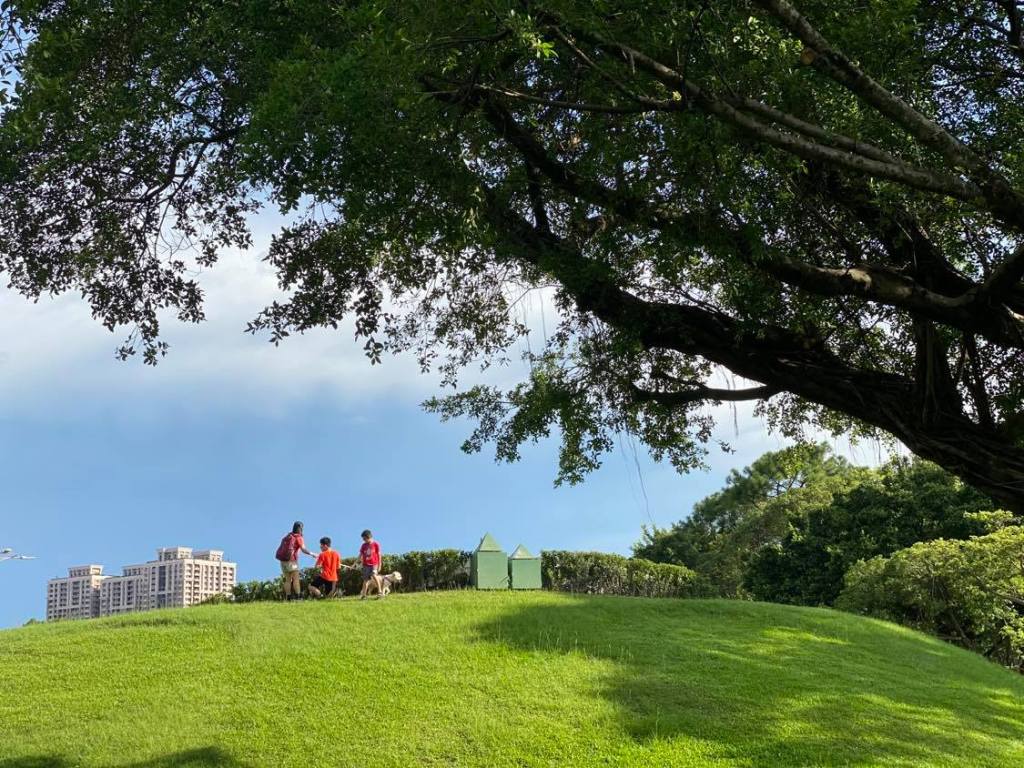 送養環島回顧3～盼盼