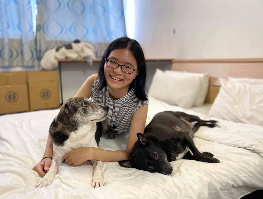 18年送養環島回顧5～她溫柔說：狗狗，我們回家吧……