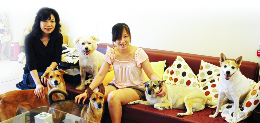 瑾瑄家的貓狗總是神奇