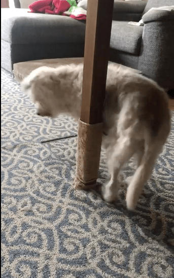 小艾 一起的人生